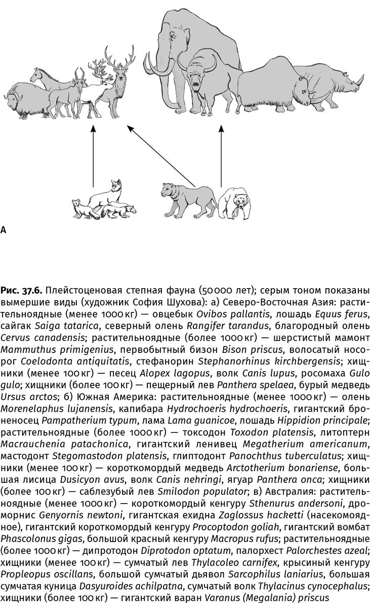 Сотворение Земли. Как живые организмы создали наш мир