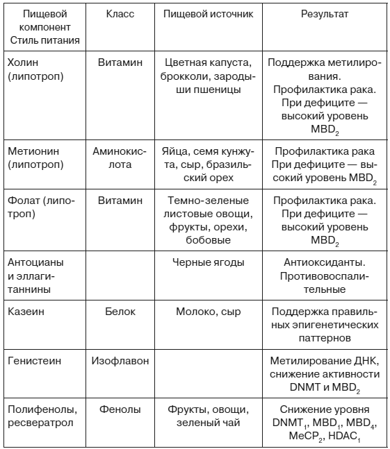 Эпигенетика. Управляй своими генами