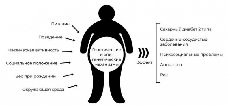 Эпигенетика. Управляй своими генами