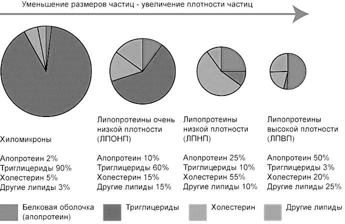 Эпигенетика. Управляй своими генами