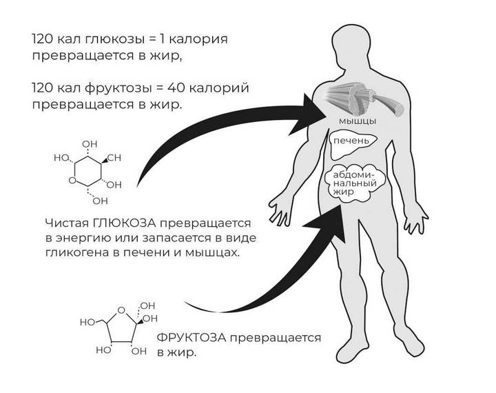 Эпигенетика. Управляй своими генами