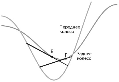 Капуста, неверные мужья и зебра. Загадки и головоломки для развития критического мышления