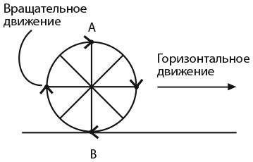 Капуста, неверные мужья и зебра. Загадки и головоломки для развития критического мышления