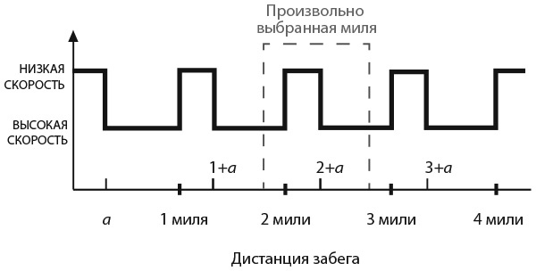 Капуста, неверные мужья и зебра. Загадки и головоломки для развития критического мышления