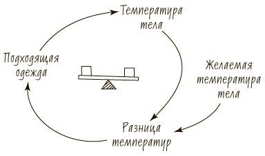 Пятая дисциплина. Искусство и практика обучающейся организации