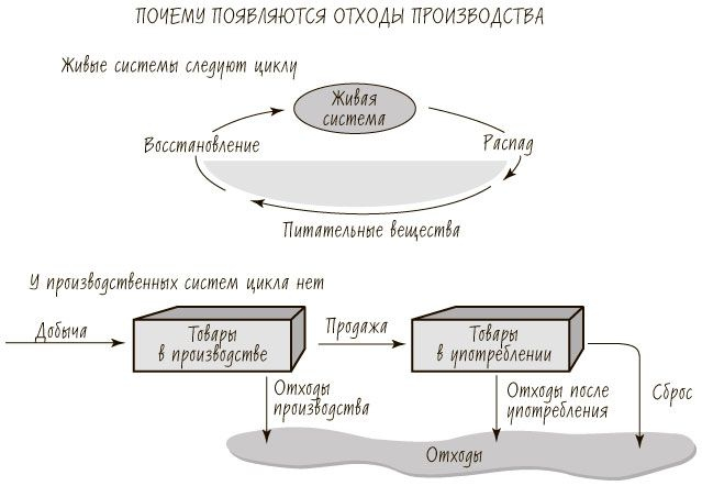 Пятая дисциплина. Искусство и практика обучающейся организации