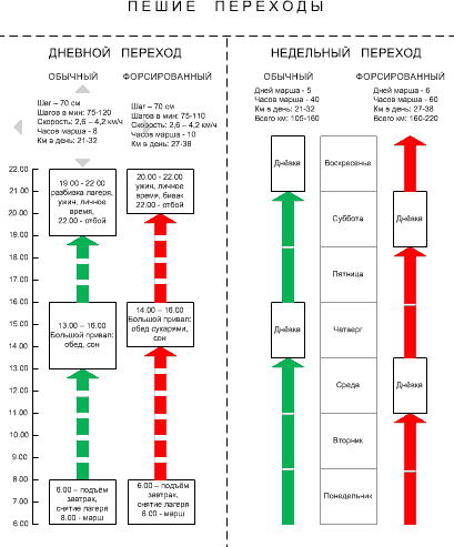 Русская армия 1812 года. Устройство и боевые действия