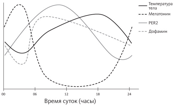 Счастливое старение. Рекомендации нейробиолога о том, как жить долго и хорошо