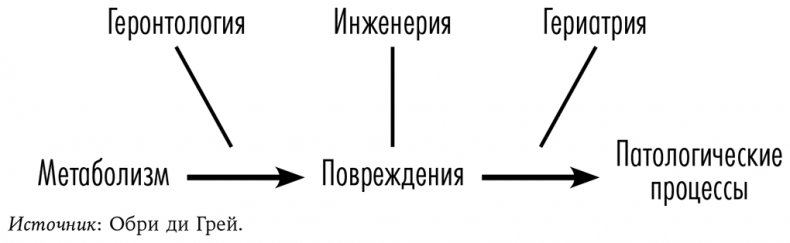 Смерть должна умереть. Наука в борьбе за наше бессмертие