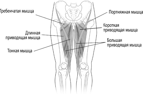 Тело исцеляет само себя. Глубокое изучение работы мышц и их связи с эмоциями