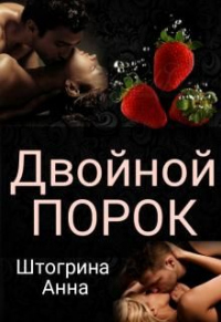 Книга Двойной порок