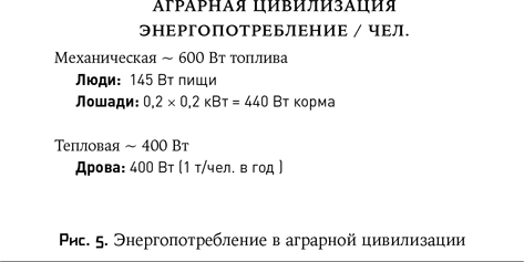 Воспитание машин. Новая история разума