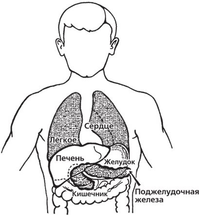 Настольная книга диабетика. Как наладить жизнь с непростым диагнозом