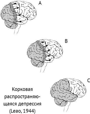 По голове себе постучи. Вся правда о мигрени и другой головной боли