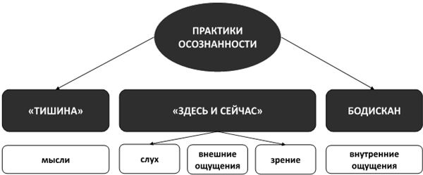 Психосоматика. Как выйти из адского круга панических атак, беспокойства, стресса и тревожных состояний. 20 работающих способов