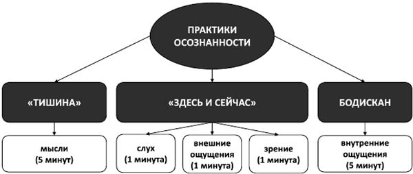 Психосоматика. Как выйти из адского круга панических атак, беспокойства, стресса и тревожных состояний. 20 работающих способов