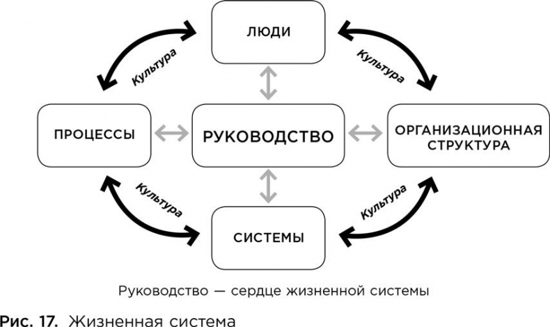 Коучинг. Основные принципы и практики коучинга и лидерства