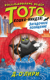 Книга Загадочное похищение