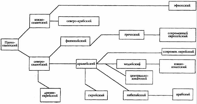 Всемирная история. Новый взгляд