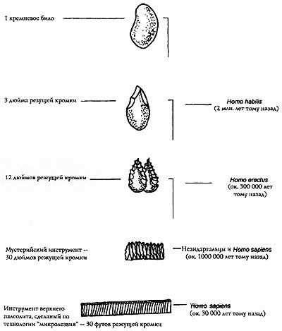 Всемирная история. Новый взгляд