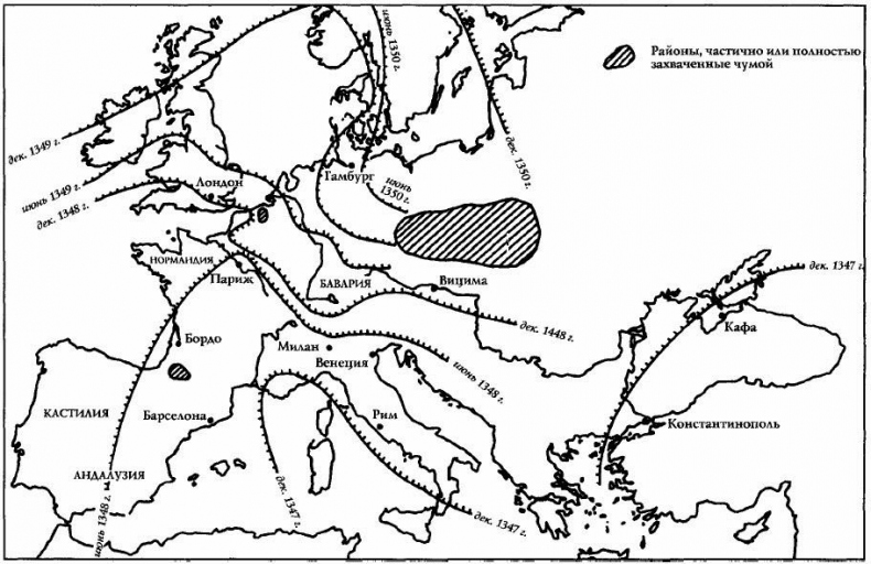 Всемирная история. Новый взгляд