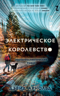 Книга Электрическое королевство