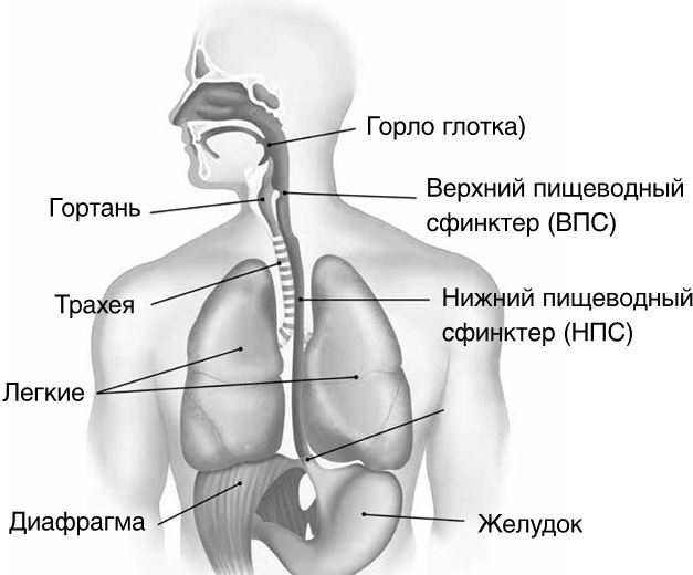 Как вылечить изжогу, кашель, воспаление, аллергию, ГЭРБ : программа снижения кислотности за 28 дней