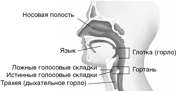 Как вылечить изжогу, кашель, воспаление, аллергию, ГЭРБ : программа снижения кислотности за 28 дней