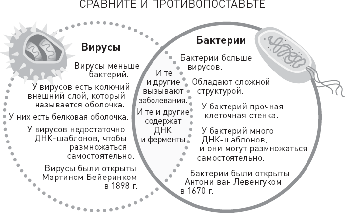 Лжецы. Как врачи обманываются сами и невольно обманывают пациентов