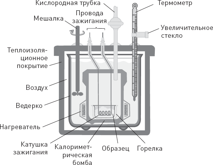 Лжецы. Как врачи обманываются сами и невольно обманывают пациентов