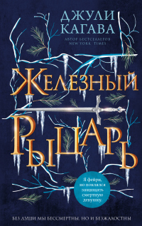 Книга Железный рыцарь