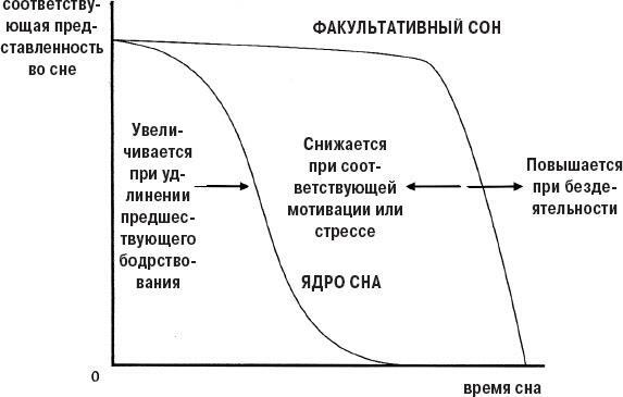 Наука о сне. Кто познает тайну сна – познает тайну мозга!