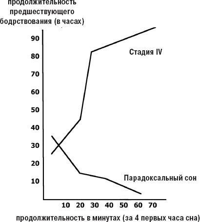 Наука о сне. Кто познает тайну сна – познает тайну мозга!