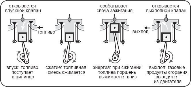 Генетический детектив. От исследования рибосомы к Нобелевской премии